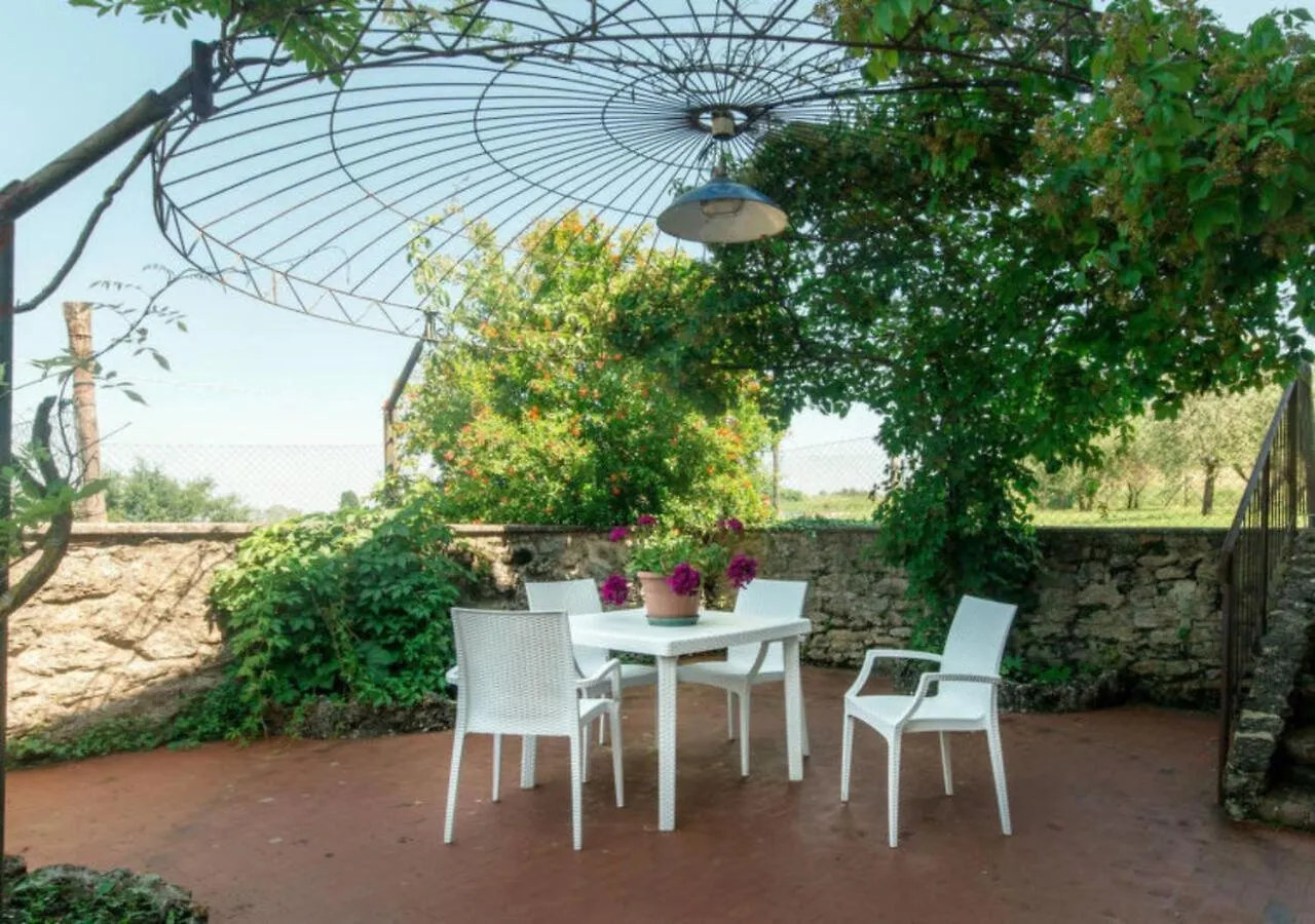Il Leccio Apartment San Dalmazio