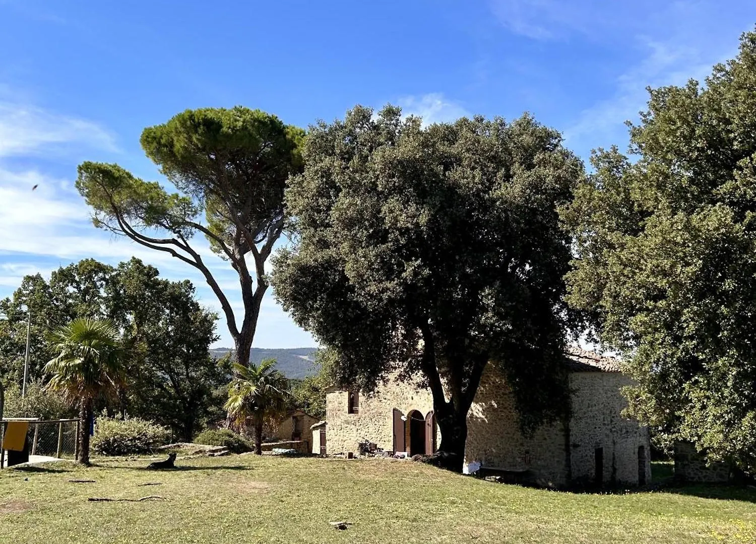 Il Leccio Apartment San Dalmazio